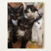 Kutest Baby Animals | Zwarte en witte Kittens Planner (Achterkant)
