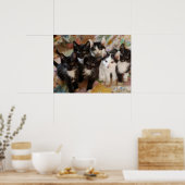 Kutest Baby Animals | Zwarte en witte Kittens Poster (Keuken)