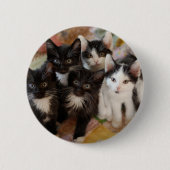 Kutest Baby Animals | Zwarte en witte Kittens Ronde Button 5,7 Cm (Voorkant)