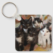 Kutest Baby Animals | Zwarte en witte Kittens Sleutelhanger (Voorkant)