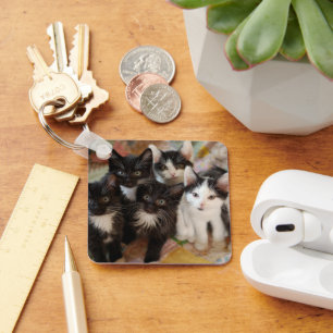 Kutest Baby Animals   Zwarte en witte Kittens Sleutelhanger
