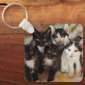 Kutest Baby Animals | Zwarte en witte Kittens Sleutelhanger (Voorkant)