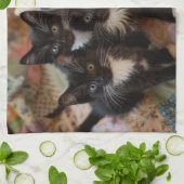 Kutest Baby Animals | Zwarte en witte Kittens Theedoek (Gevouwen)