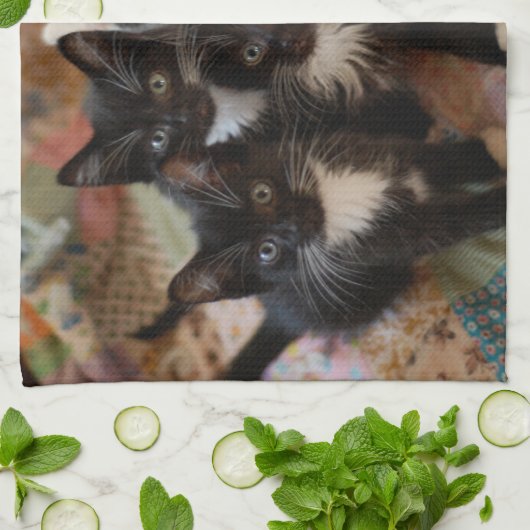 Kutest Baby Animals | Zwarte en witte Kittens Theedoek (Gevouwen)