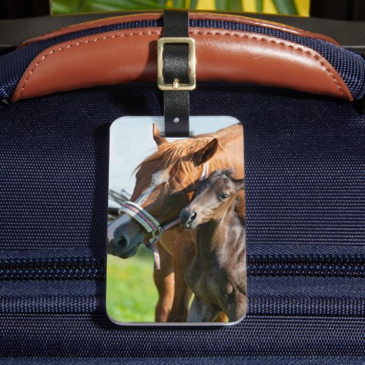 Kutest Baby Animals | Zwarte foal met mam Bagagelabel (Voorkant Insitu 2)