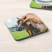 Kutest Baby Animals | Zwarte foal met mam Bier Onderzetter (Linkerzijde)