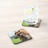 Kutest Baby Animals | Zwarte foal met mam Bier Onderzetter (Rechterzijde)