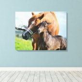 Kutest Baby Animals | Zwarte foal met mam Canvas Afdruk (Insitu (Houten vloer))