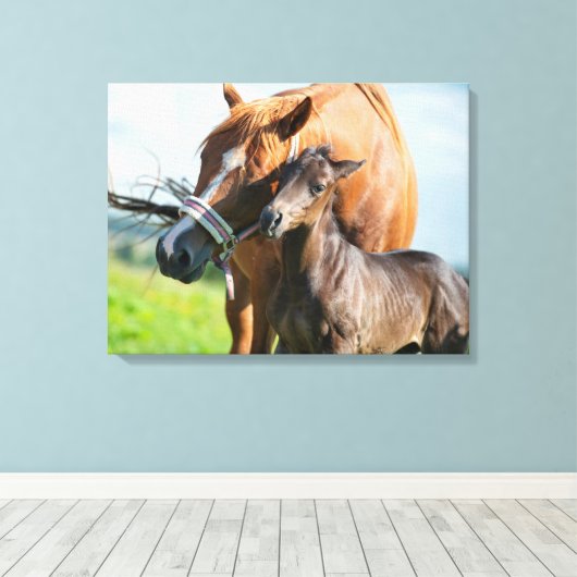Kutest Baby Animals | Zwarte foal met mam Canvas Afdruk (Insitu (Houten vloer))