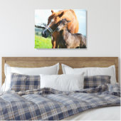 Kutest Baby Animals | Zwarte foal met mam Canvas Afdruk (Insitu (Slaapkamer))