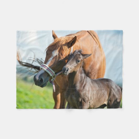 Kutest Baby Animals | Zwarte foal met mam Fleece Deken (Voorkant (Horizontaal))