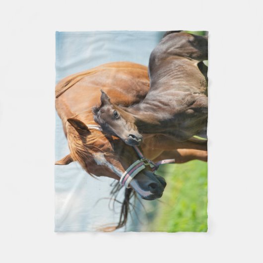 Kutest Baby Animals | Zwarte foal met mam Fleece Deken (Voorkant)