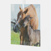 Kutest Baby Animals | Zwarte foal met mam Glas Ornament (Voorkant links)