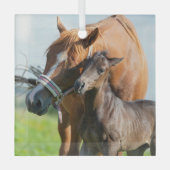 Kutest Baby Animals | Zwarte foal met mam Glas Ornament (Voorkant)