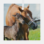 Kutest Baby Animals | Zwarte foal met mam Glas Ornament (Achterkant)