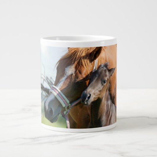 Kutest Baby Animals | Zwarte foal met mam Grote Koffiekop (Voorkant)