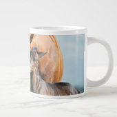 Kutest Baby Animals | Zwarte foal met mam Grote Koffiekop (Rechts)