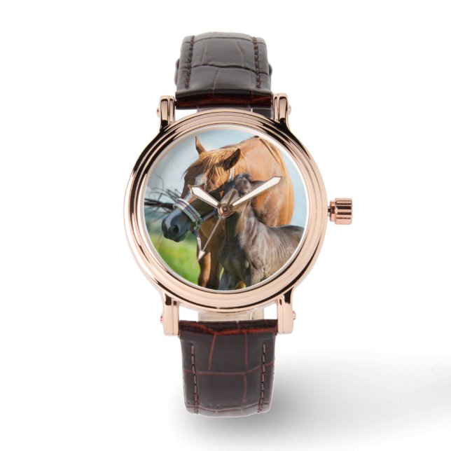 Kutest Baby Animals | Zwarte foal met mam Horloge (Voorkant)