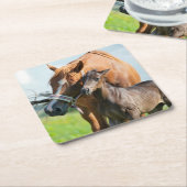 Kutest Baby Animals | Zwarte foal met mam Kartonnen Onderzetters (Schuin)