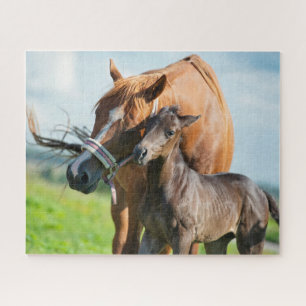 Kutest Baby Animals   Zwarte foal met mam Legpuzzel