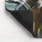 Kutest Baby Animals | Zwarte foal met mam Muismat (Hoek)