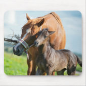 Kutest Baby Animals | Zwarte foal met mam Muismat (Voorkant)