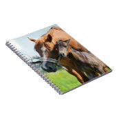 Kutest Baby Animals | Zwarte foal met mam Notitieboek (Rechterzijde)