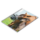 Kutest Baby Animals | Zwarte foal met mam Notitieboek (Linkerzijde)