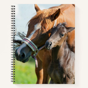 Kutest Baby Animals Zwarte foal met mam Notitieboek