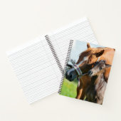 Kutest Baby Animals | Zwarte foal met mam Notitieboek (Binnen)