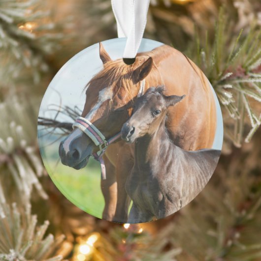 Kutest Baby Animals | Zwarte foal met mam Ornament (Boom)