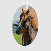 Kutest Baby Animals | Zwarte foal met mam Ornament (voorkant)