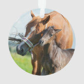 Kutest Baby Animals | Zwarte foal met mam Ornament (achterkant)