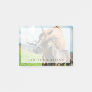 Kutest Baby Animals   Zwarte foal met mam Post-it® Notes