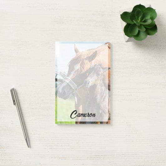 Kutest Baby Animals | Zwarte foal met mam Post-it® Notes (Kantoor)