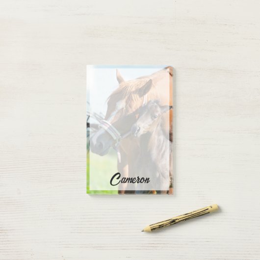 Kutest Baby Animals | Zwarte foal met mam Post-it® Notes (Op bureau)