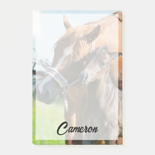 Kutest Baby Animals | Zwarte foal met mam Post-it® Notes (Voorkant)