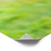 Kutest Baby Animals | Zwarte foal met mam Poster (Hoek)