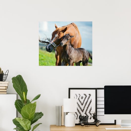 Kutest Baby Animals | Zwarte foal met mam Poster (Thuiskantoor)