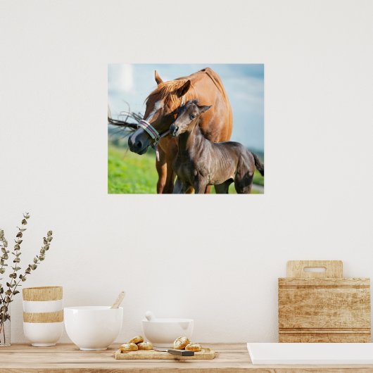 Kutest Baby Animals | Zwarte foal met mam Poster (Keuken)