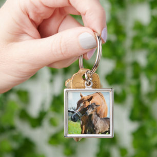 Kutest Baby Animals   Zwarte foal met mam Sleutelhanger