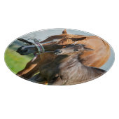 Kutest Baby Animals | Zwarte foal met mam Snijplank (Hoek)