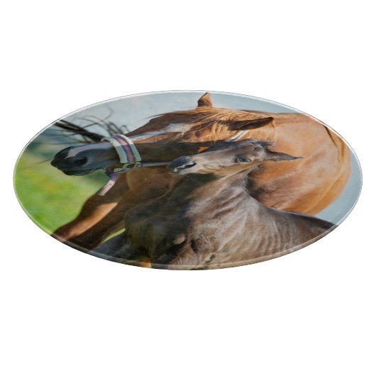 Kutest Baby Animals | Zwarte foal met mam Snijplank (Hoek)