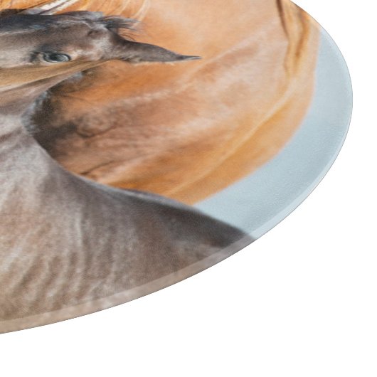 Kutest Baby Animals | Zwarte foal met mam Snijplank (Hoek)