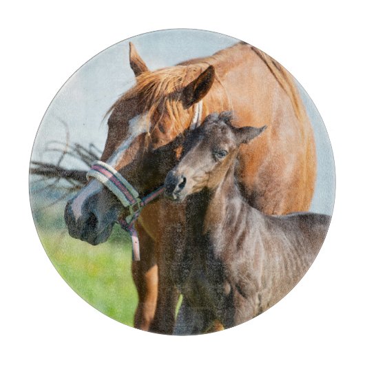 Kutest Baby Animals | Zwarte foal met mam Snijplank (Voorkant)