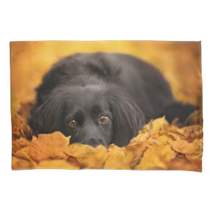 Kutest Baby Animals   Zwarte Spaanse puppy Kussensloop