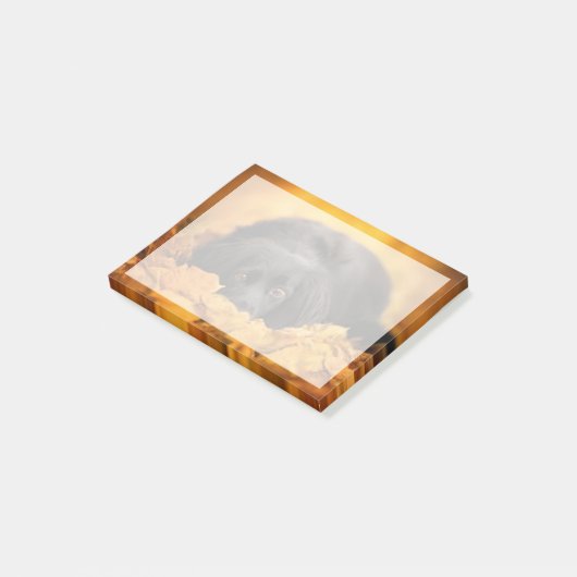 Kutest Baby Animals | Zwarte Spaanse puppy Post-it® Notes (Schuin)