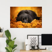 Kutest Baby Animals | Zwarte Spaanse puppy Poster (Thuiskantoor)