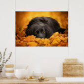 Kutest Baby Animals | Zwarte Spaanse puppy Poster (Keuken)