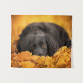 Kutest Baby Animals | Zwarte Spaanse puppy Wandkleed (Voorkant (horizontaal))